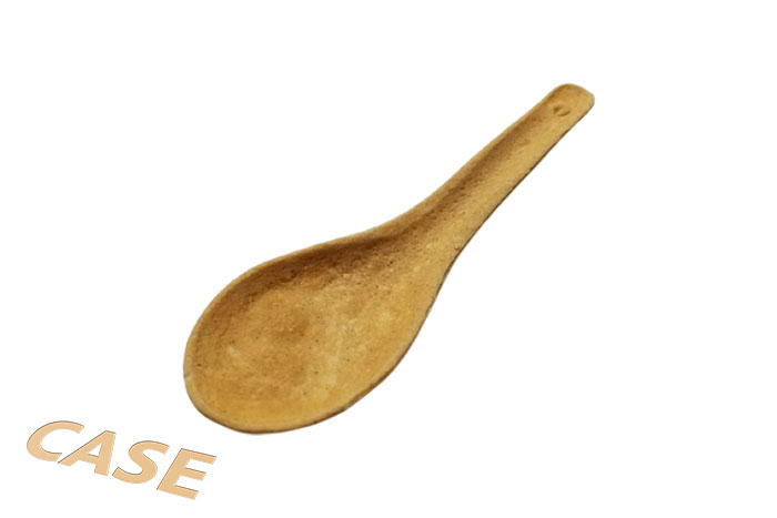 Plain Spoon in Case Plain Spoon in Case