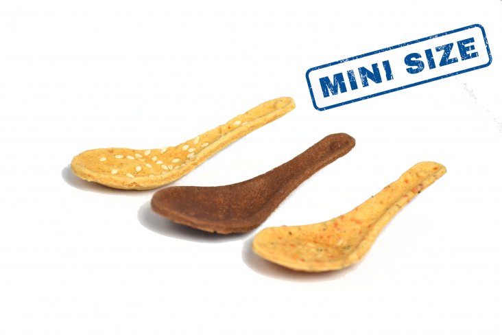 Miniature Size Spoon Miniature Size Spoon