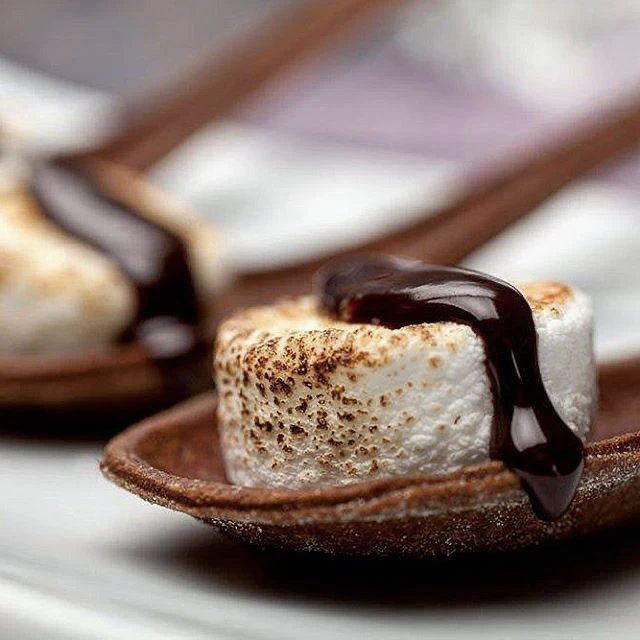 Edible Chocolate Spoons