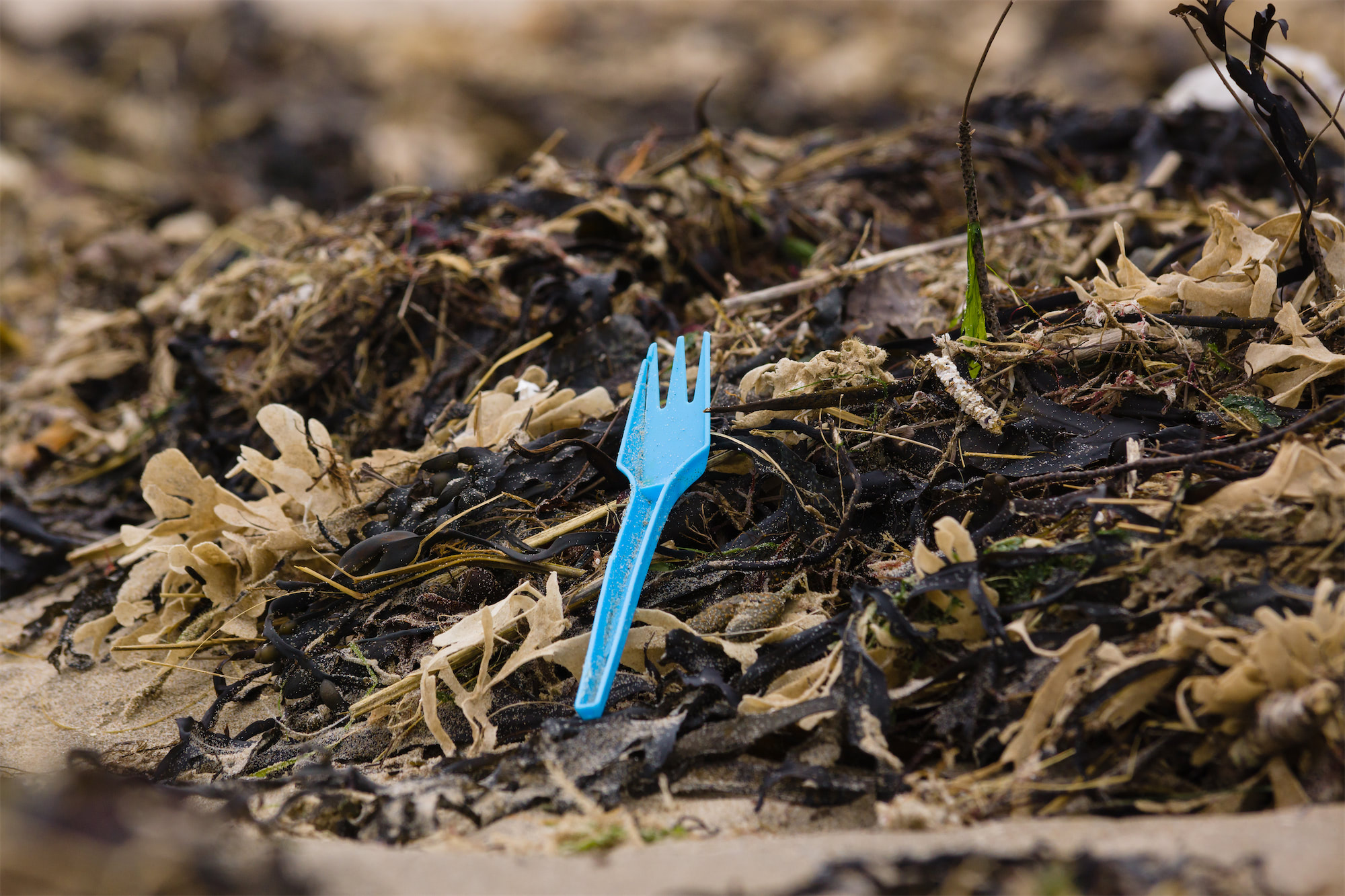 Eco Friendly Utensils FlavorFulz