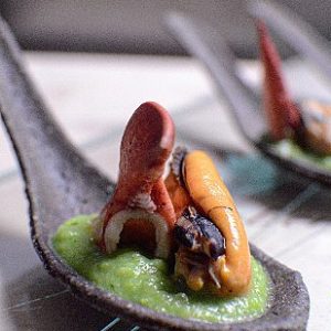 Case of Miniature Edible Spoons (600 spoons)