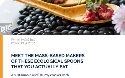 DIG BOSTON: MEET THE MASS-BASED MAKERS OF THESE ECOLOGICAL SPOONS THAT YOU ACTUALLY EAT